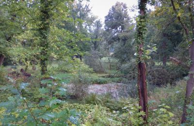 Zabytkowy park na sprzedaż Iłowa, Kolejowa 11, Lubuskie, Zdjęcie 10/17