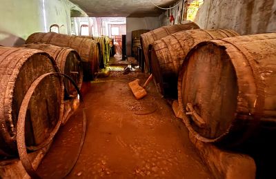Pałac miejski na sprzedaż Ribera, Roma 37, Sycylia, Piwnica na wino