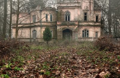 Pałac na sprzedaż Cisie-Zagrudzie, Mazowieckie,, Zdjęcie 4/4