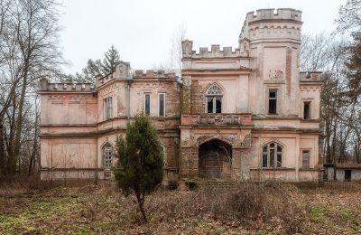 Pałac na sprzedaż Cisie-Zagrudzie, Mazowieckie,, Zdjęcie 1/4