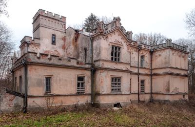 Pałac na sprzedaż Cisie-Zagrudzie, województwo mazowieckie:  