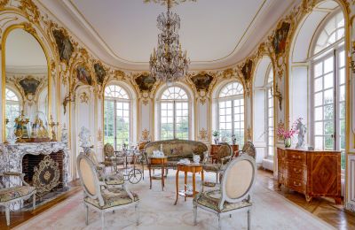 Pałac na sprzedaż Abbeville, Hauts-de-France, Salon