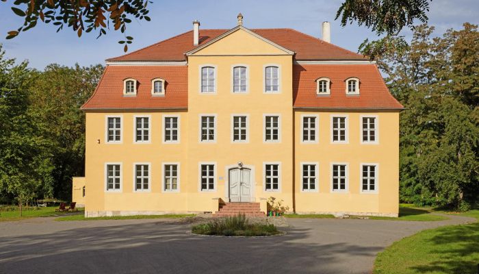 Pałac na sprzedaż Groitzsch, Saksonia,  Niemcy