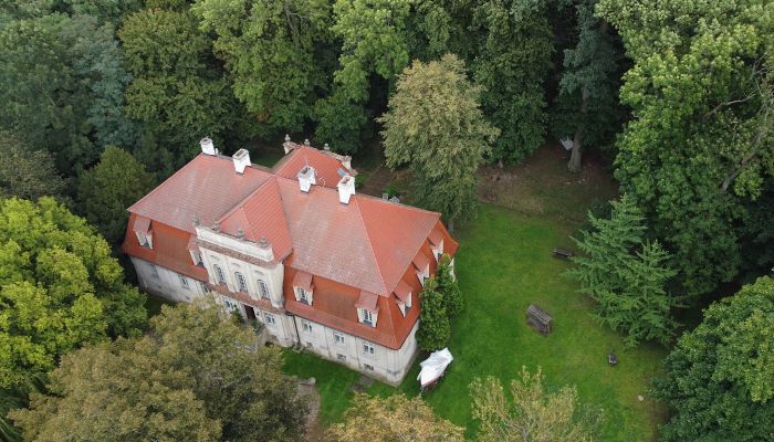 Późnobarokowy pałac w Popowie Starym, park 4,5 ha, staw i stadnina – 68 km od Poznania