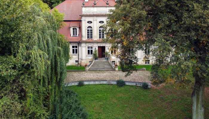 Późnobarokowy pałac w Popowie Starym, park 4,5 ha, staw i stadnina – 68 km od Poznania