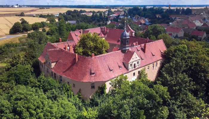 Pałac na sprzedaż Mühlberg/Elbe, Brandenburgia,  Niemcy
