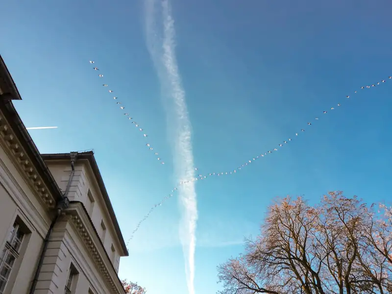 Pałac na sprzedaż Siedlec, Wielkopolskie, 5