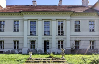 Pałac na sprzedaż Siedlec, Pałac w Siedlcu, Wielkopolskie, Widok z tyłu