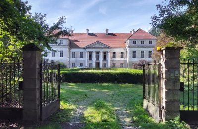 Pałac na sprzedaż Siedlec, Pałac w Siedlcu, Wielkopolskie, Wjazd