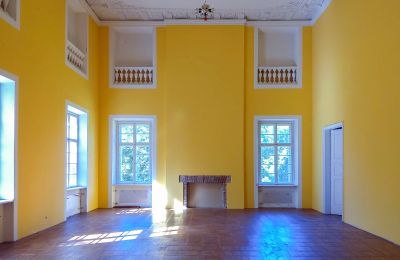 Pałac na sprzedaż Siedlec, Pałac w Siedlcu, Wielkopolskie, Sala balowa