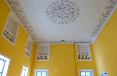 Pałac na sprzedaż Siedlec, Pałac w Siedlcu, Wielkopolskie, Zdjęcie 8/14