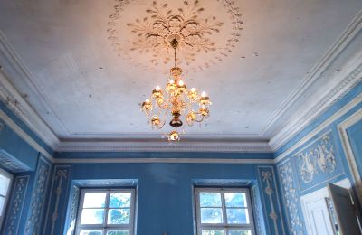 Pałac na sprzedaż Siedlec, Pałac w Siedlcu, Wielkopolskie, Salon