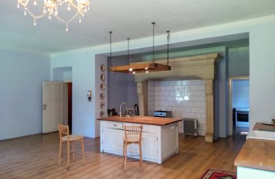 Pałac na sprzedaż Siedlec, Pałac w Siedlcu, Wielkopolskie, Kuchnia