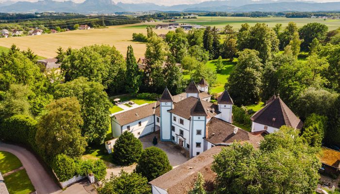 Zamek Windern – Historyczna Rezydencja z Ogrodem i Basenem