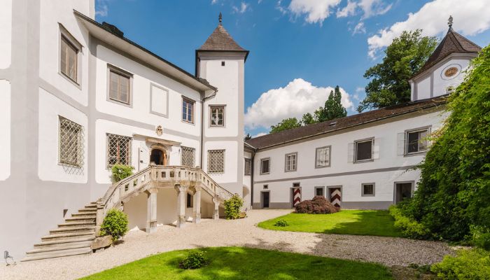 Pałac na sprzedaż 4693 Desselbrunn, Górna Austria
