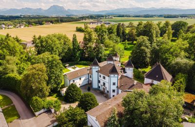 Pałac 4693 Desselbrunn, Górna Austria