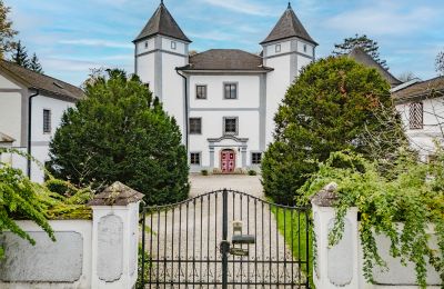 Pałac na sprzedaż 4693 Desselbrunn, Górna Austria, Die herrschaftliche Rückansicht im Nordosten des Ensembles