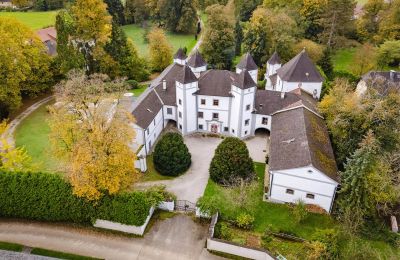 Pałac na sprzedaż 4693 Desselbrunn, Górna Austria, Zdjęcie Drona