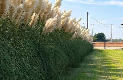 Historisk villa till salu Paviole, cesare battisti 43, Veneto, Bild 43/46