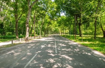 Zabytkowa willa na sprzedaż 1020 Leopoldstadt, Wiedeń, Zdjęcie 14/18