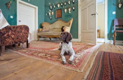 Dwór na sprzedaż 19386 Kreien, Rosenstraße 32, Meklemburgia-Pomorze Przednie, Zdjęcie 7/32