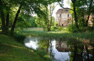 Pałac na sprzedaż Komorowice, Wrocławska 27, Dolnośląskie, Park