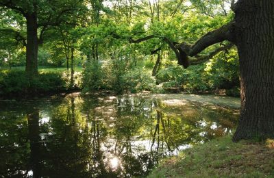 Pałac na sprzedaż Komorowice, Wrocławska 27, Dolnośląskie, Zdjęcie 15/27