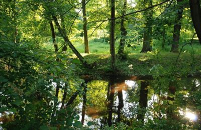 Pałac na sprzedaż Komorowice, Wrocławska 27, Dolnośląskie, Zdjęcie 18/27