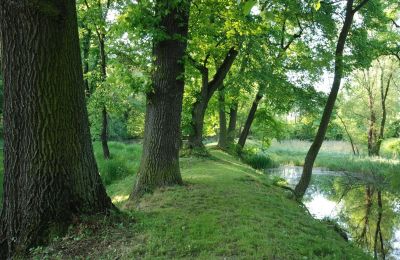 Pałac na sprzedaż Komorowice, Wrocławska 27, Dolnośląskie, Zdjęcie 19/27