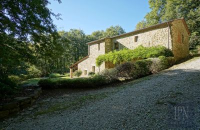 Landhus til salg 06019 Umbertide, Umbria, Billede 18/47