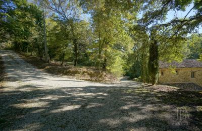 Landhus til salg 06019 Umbertide, Umbria, Billede 21/47