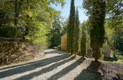 Landhus til salg 06019 Umbertide, Umbria, Billede 22/47