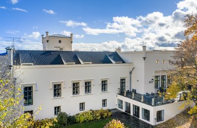 Pałac na sprzedaż Trnová, okres Praha-západ, Zdjęcie 34/53