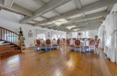 Pałac na sprzedaż Trnová, okres Praha-západ, Duża sala