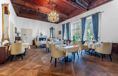 Pałac na sprzedaż Trnová, okres Praha-západ, Duża sala