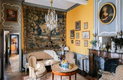 Dwór na sprzedaż Pau, Nouvelle-Aquitaine, Zdjęcie 3/10