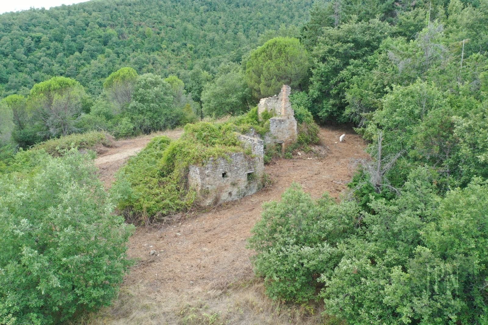 Zdjęcia Kamienny dom w Pian di Marte z ruiną i 2,8 ha terenu