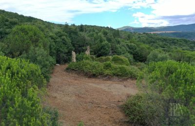Dom wiejski na sprzedaż 06060 Pian di Marte, Umbria, Zdjęcie 2/14