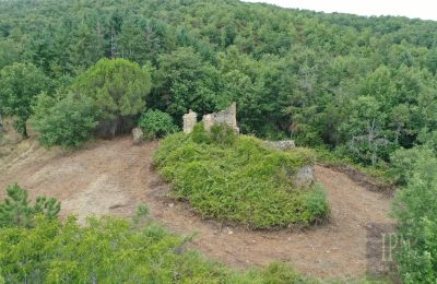Dom wiejski na sprzedaż 06060 Pian di Marte, Umbria, Zdjęcie 3/14