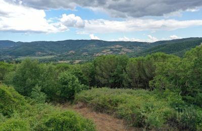Dom wiejski na sprzedaż 06060 Pian di Marte, Umbria, Zdjęcie 7/14