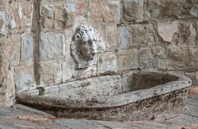 Dwór na sprzedaż Castellina in Chianti, Toskania, Zdjęcie 8/29