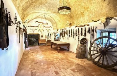 Zamek na sprzedaż San Vicente de Alcántara, Estremadura, Zdjęcie 18/36