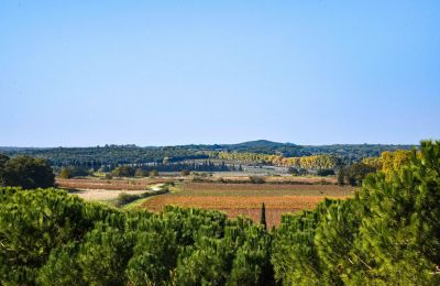 Zamek na sprzedaż Pouzilhac, Oksytania, Zdjęcie 43/43