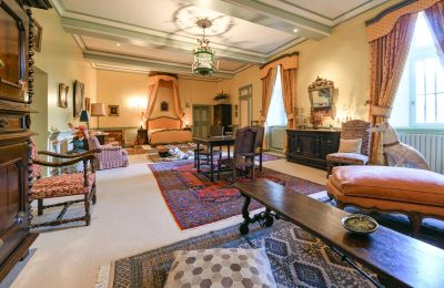 Zamek na sprzedaż Pouzilhac, Oksytania, Zdjęcie 16/43