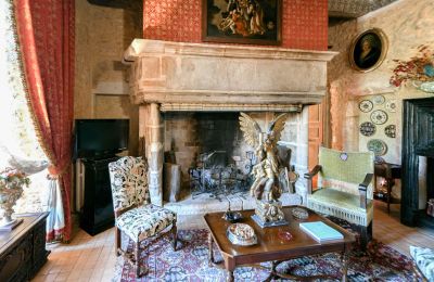 Zamek na sprzedaż Pouzilhac, Oksytania, Zdjęcie 21/43