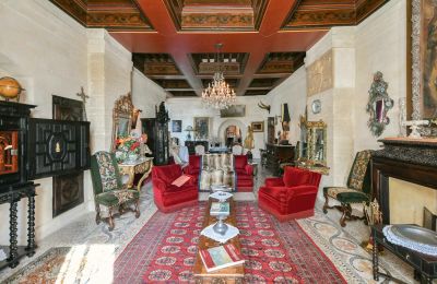 Zamek na sprzedaż Pouzilhac, Oksytania, Zdjęcie 14/43