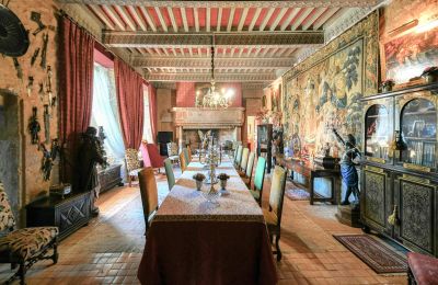 Zamek na sprzedaż Pouzilhac, Oksytania, Zdjęcie 4/43