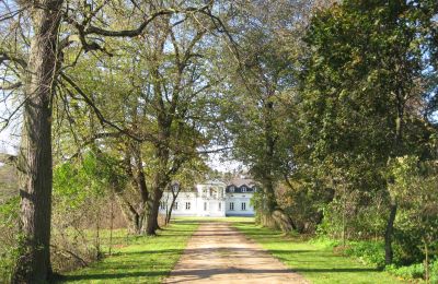 Dwór na sprzedaż Mołomotki-Dwór, Mazowieckie, Zdjęcie 6/16