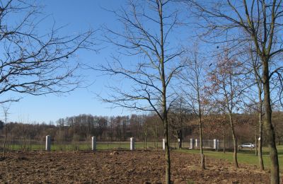 Dwór na sprzedaż Mołomotki-Dwór, Mazowieckie, ogrodzenie