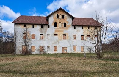 Dwór na sprzedaż Lipa, Pałac w Lipie Dolnej 10, Dolnośląskie,, Widok z przodu